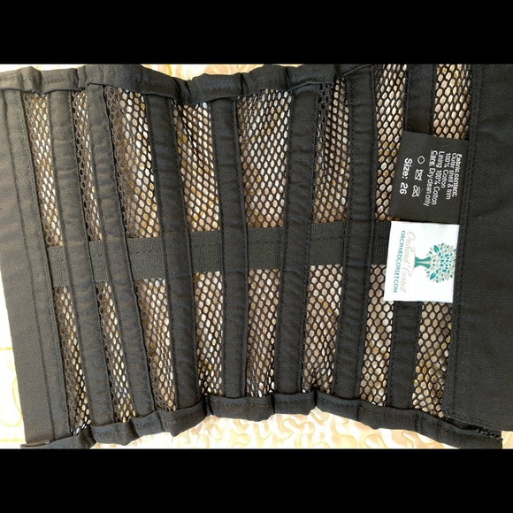 🚨SOLD🚨Mesh Romantic Curve Standard Underbust Corset : CS-411 Celebrity corset! - Picture 7 of 11